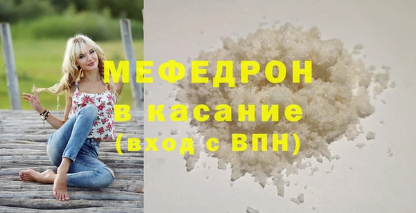 хмурый Аркадак