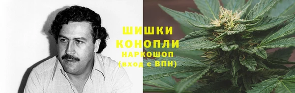 хмурый Аркадак