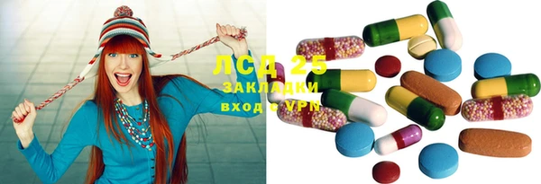 прущие грибы Армянск