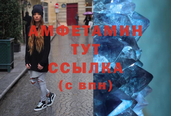хмурый Аркадак