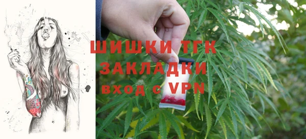 хмурый Аркадак