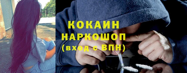 хмурый Аркадак