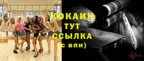 прущие грибы Армянск