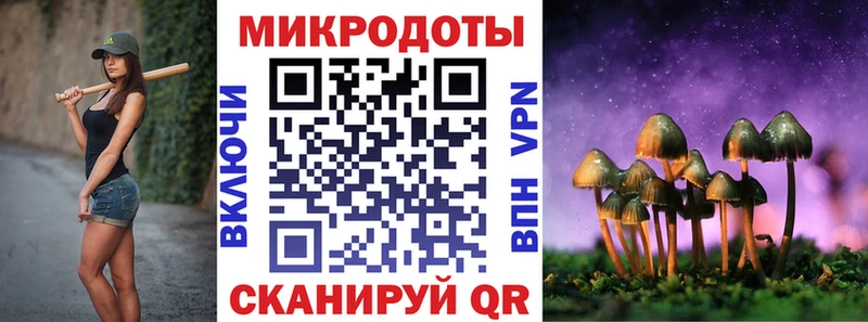 закладка  Южно-Сухокумск  Псилоцибиновые грибы Magic Shrooms 